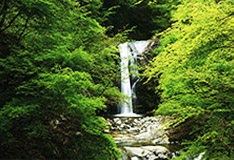 中川村の風景1