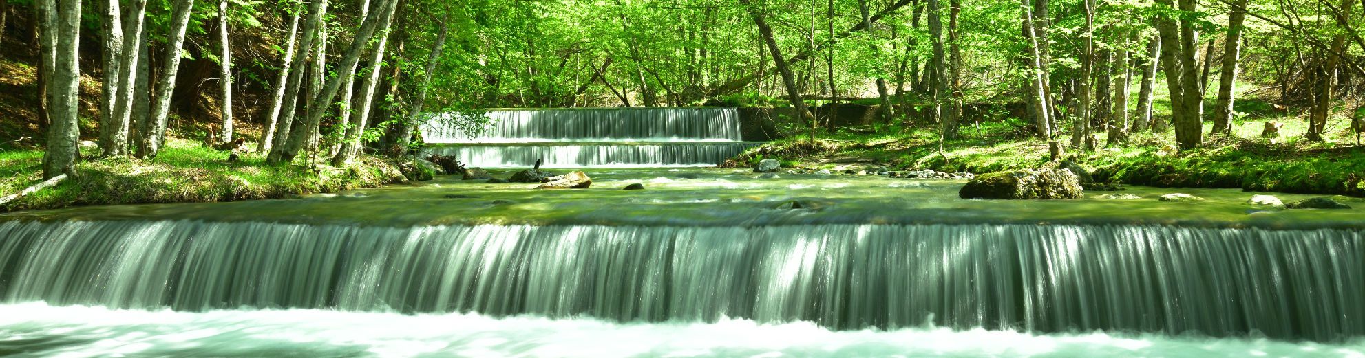 中川村の景色（夏）