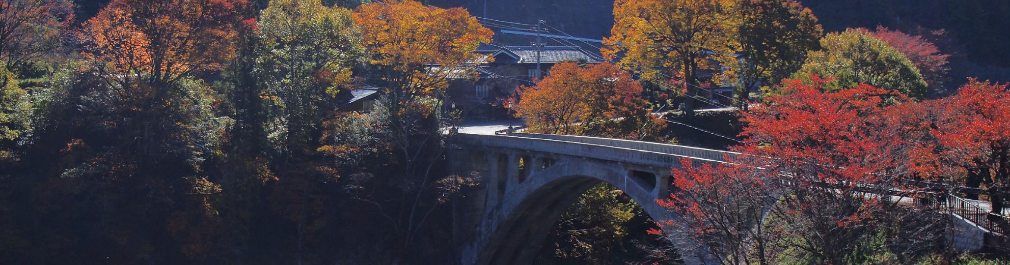 中川村の景色（秋2）