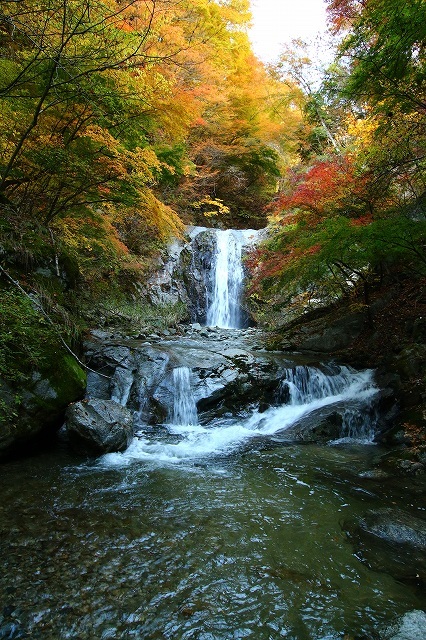 桑原の滝と紅葉の写真です