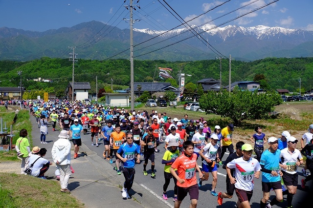中川ハーフマラソンで多くの人が走っている写真です
