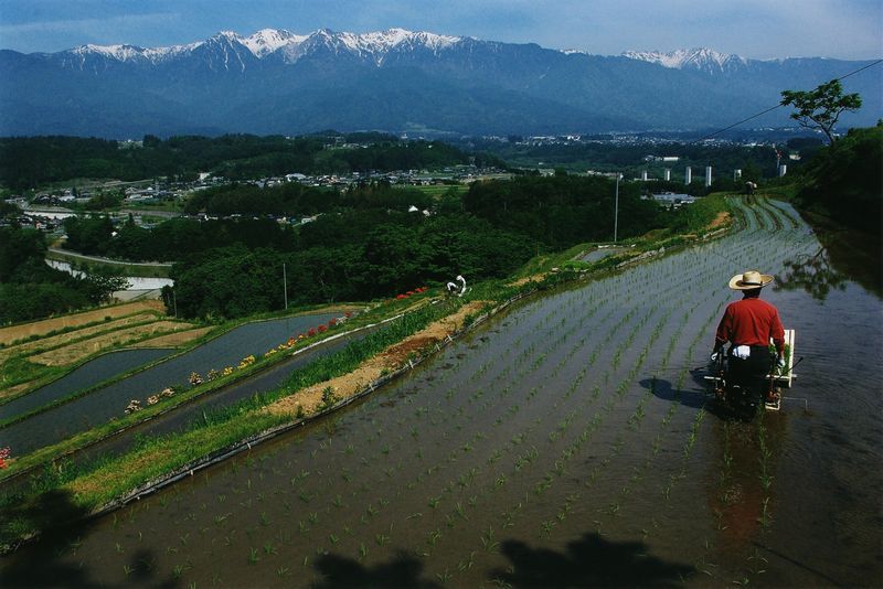 飯沼の棚田の田植の写真です