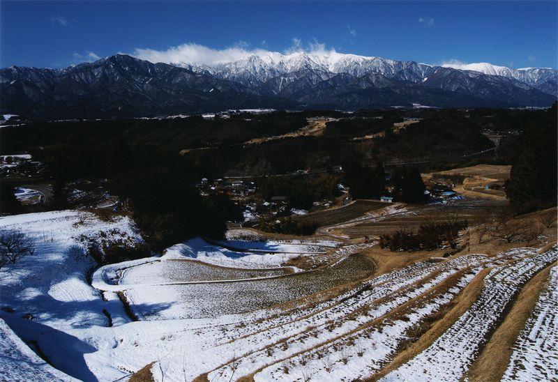 雪が積もった棚田の写真です