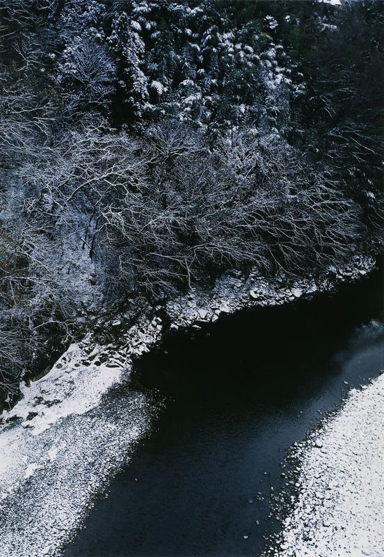 雪が積もった木々と天竜川の写真です