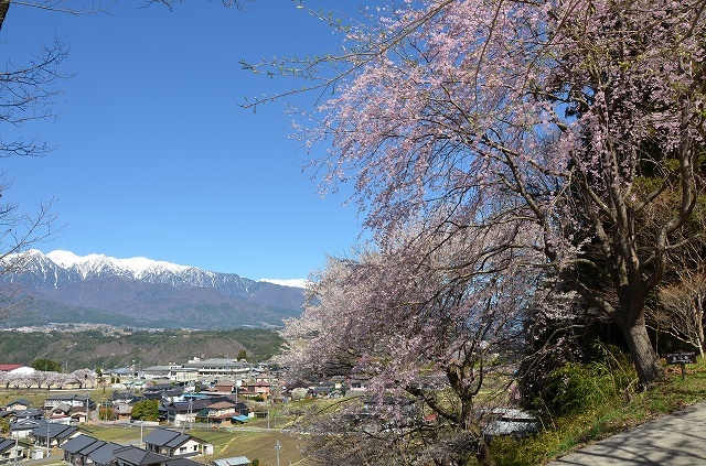 東福寺からの眺望の写真です