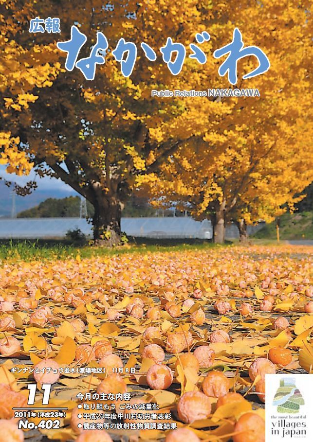 広報なかがわ2011年11月号表紙、渡場地区のギンナンとイチョウ並木の写真です