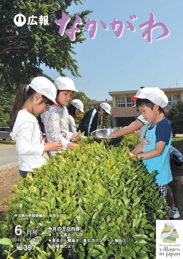 広報なかがわ2011年６月号表紙、中川西小学校 茶摘みの写真です