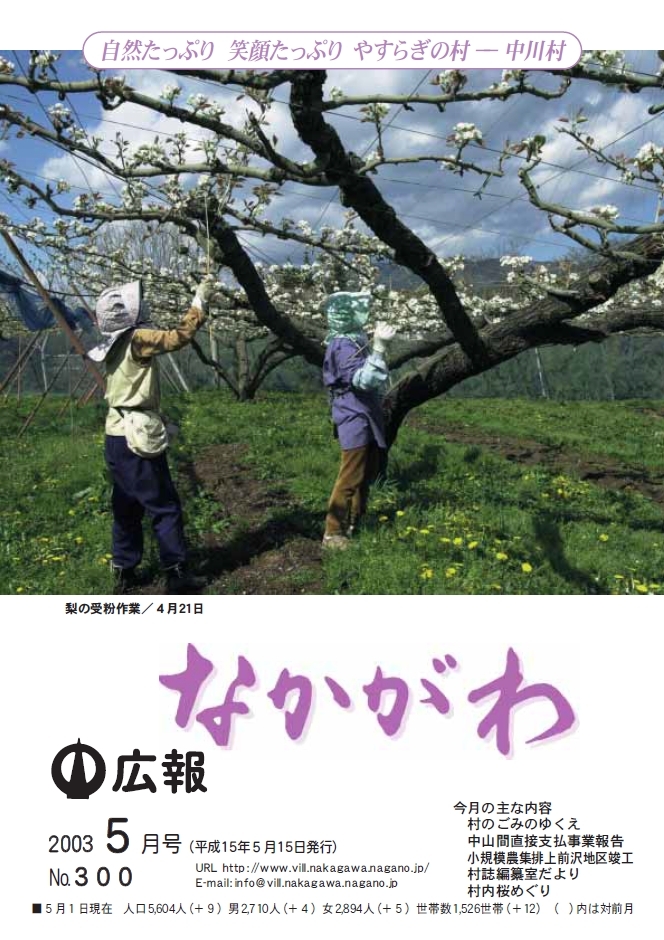 広報なかがわ2003年５月号表紙、梨の受粉作業をする農家の方の写真です