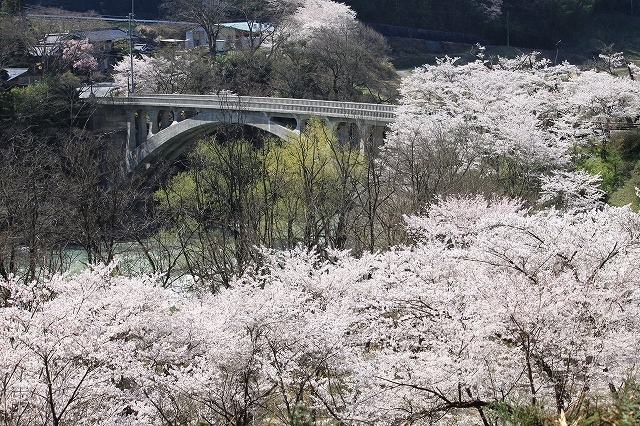 タイトルなし