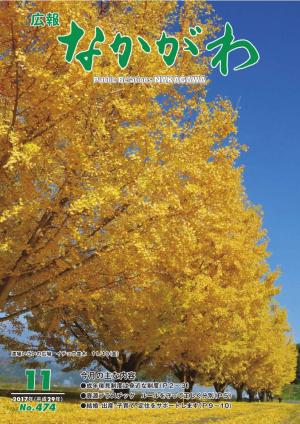 広報なかがわ2017年11月号表紙、渡場のイチョウ並木が黄色く染まっている写真です