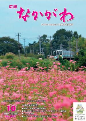 広報なかがわ2016年10月号表紙、赤そば畑の向こうに飯田線の電車が走っている写真です