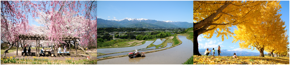 村内風景