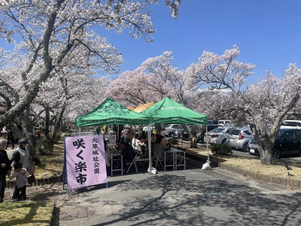 咲く楽市の様子