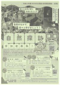 チラシ